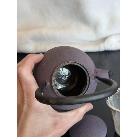 Roji NANBU IRON STUDIO Cast Iron Mini Teapot Black / Purple Tea Infuser 12 oz - Picture 7 of 9